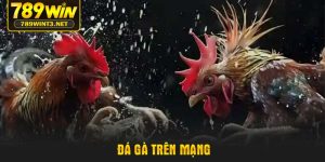 da-ga-tren-mang