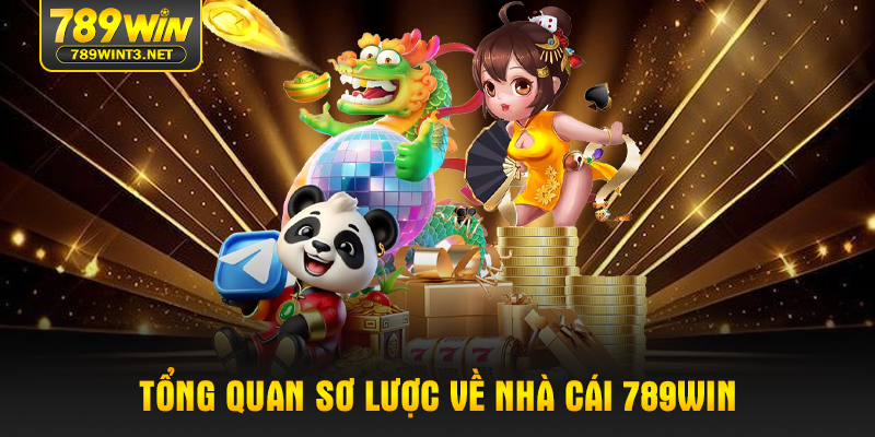Tổng quan sơ lược về nhà cái 789WIN